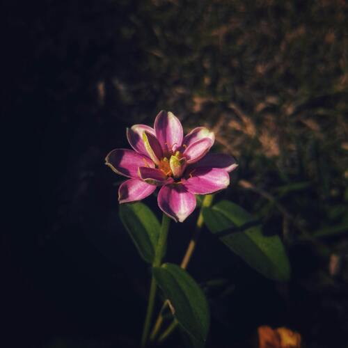 Photo #13910648