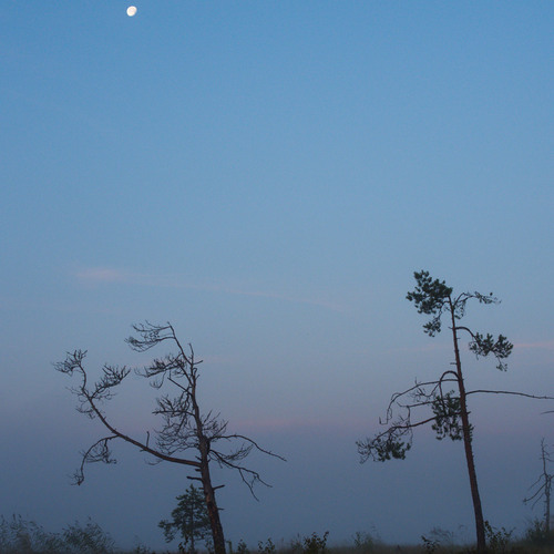 Photo #13910658