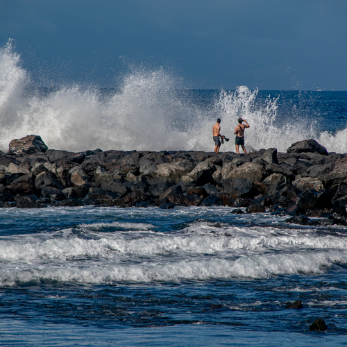 Photo #13910753