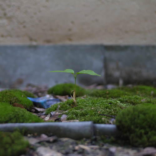 Photo #13910776