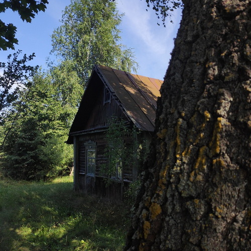 Photo #13910780