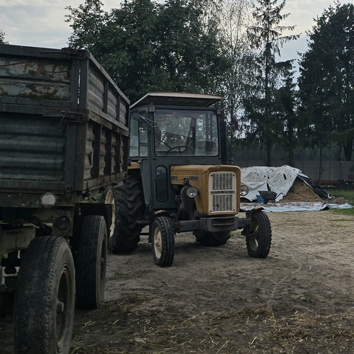 Photo #13910798