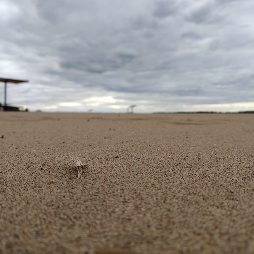 Photo #13910856