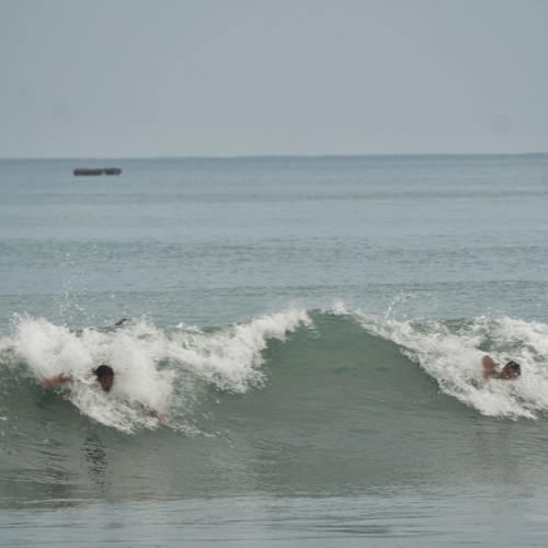 the Cresting Swell