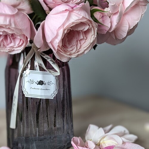Photo #13910946