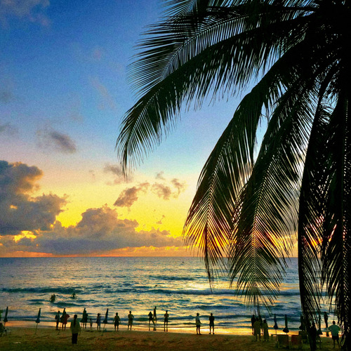 Photo #13910974