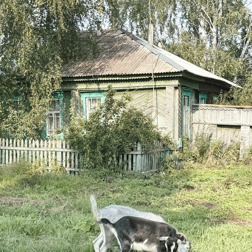 Photo #13911072