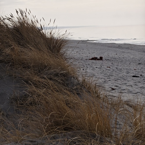 Photo #13911116