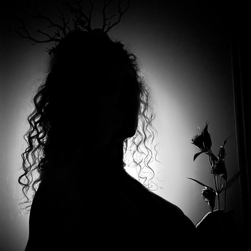 Photo #13911175
