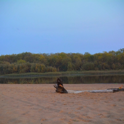 Photo #13911217