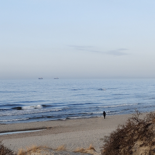 Photo #13911342
