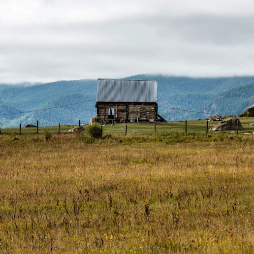 Photo #13911377