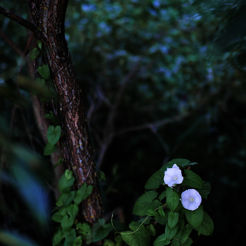 Photo #13911383