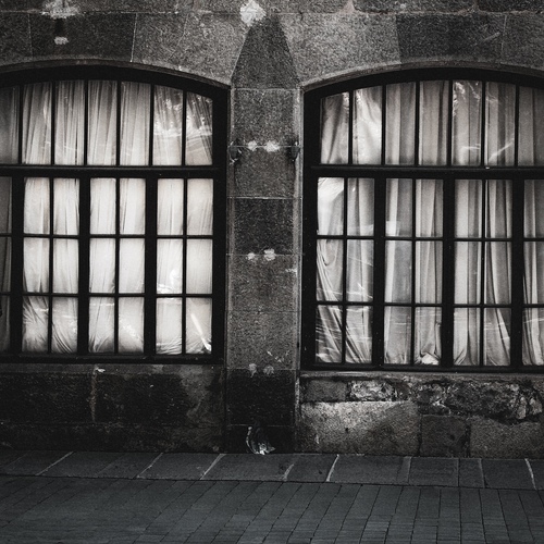 Фотография #13911406