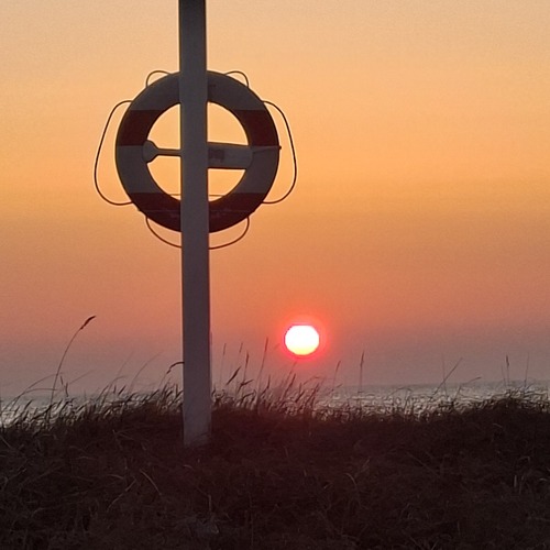 Photo #13911496