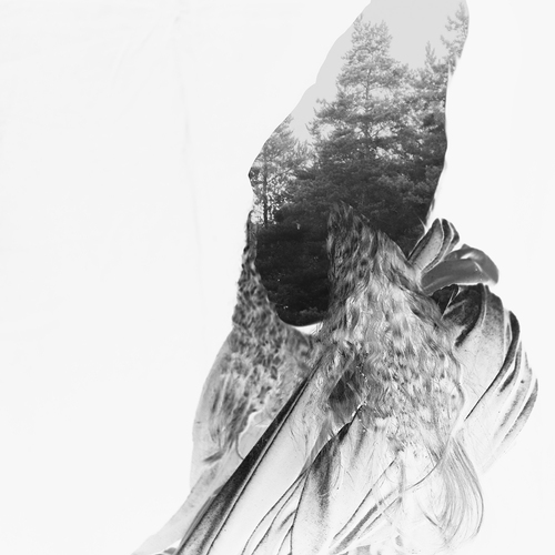 Photo #13911505