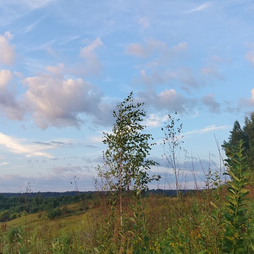 Photo #13911531