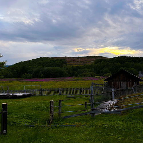 Photo #13911552