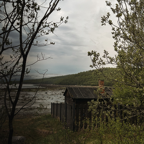 Photo #13911555