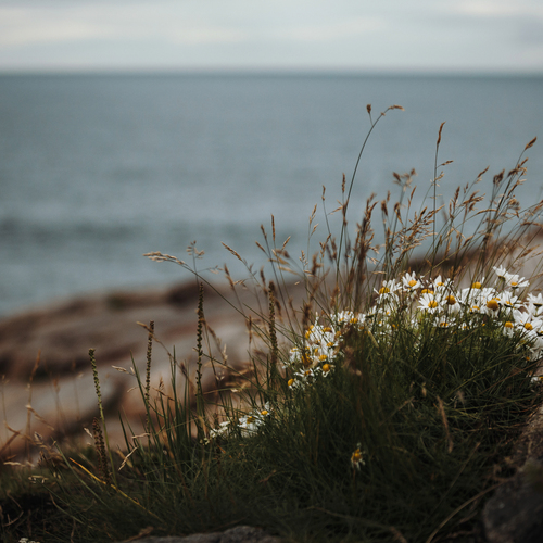 Photo #13911583