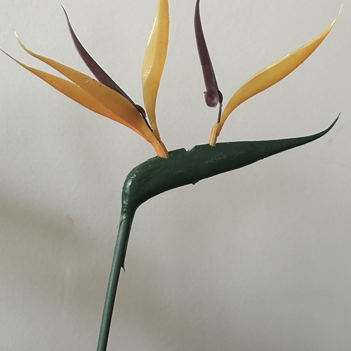 Photo #13911592