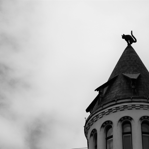 Photo #13911664