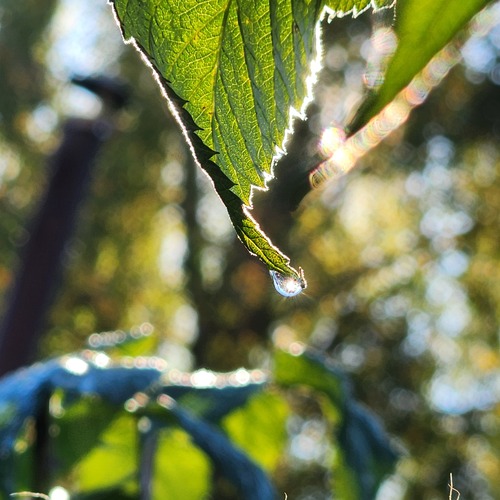 Photo #13911868