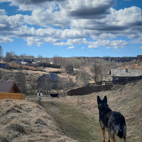 деревенские переглядки