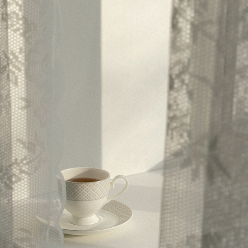 Photo #13911939
