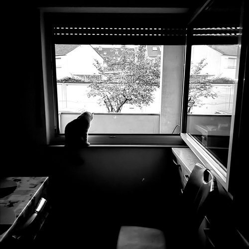 Photo #13912209