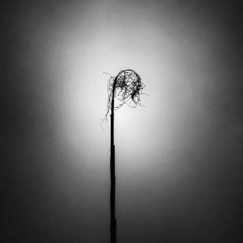 Weight of Silence