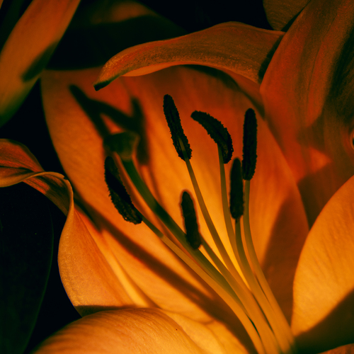Photo #13912514
