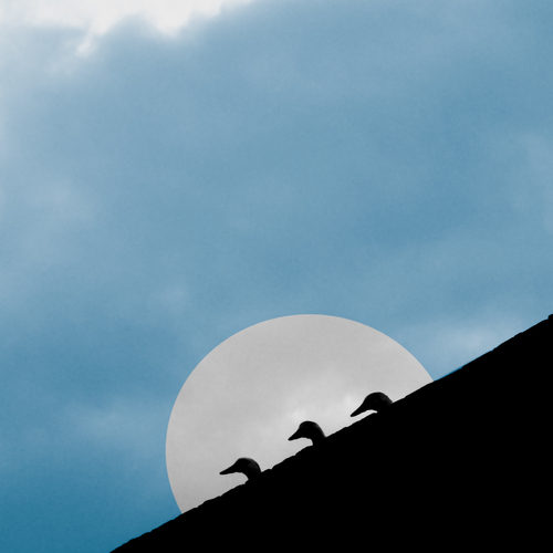 The three observers