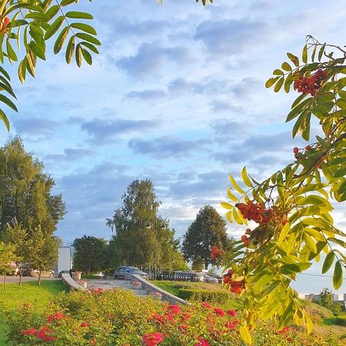 Photo #13912548
