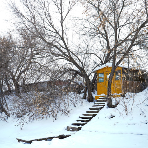 Photo #13912641