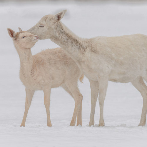 Photo #13912659