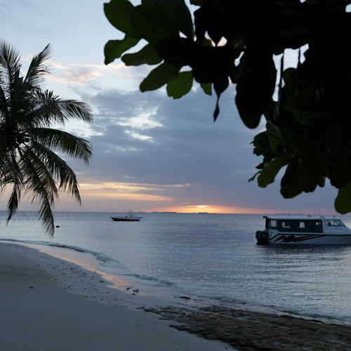 Photo #13912669