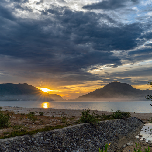 Golden Sunrise Through the Mist