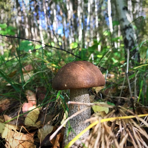 Photo #13912802