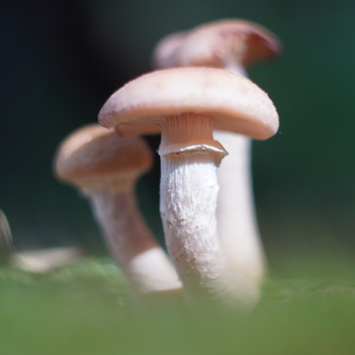 Photo #13912847