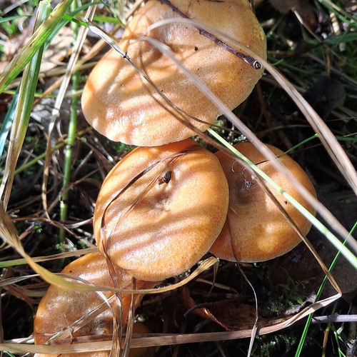 Photo #13912912