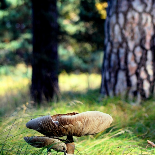 Photo #13912944