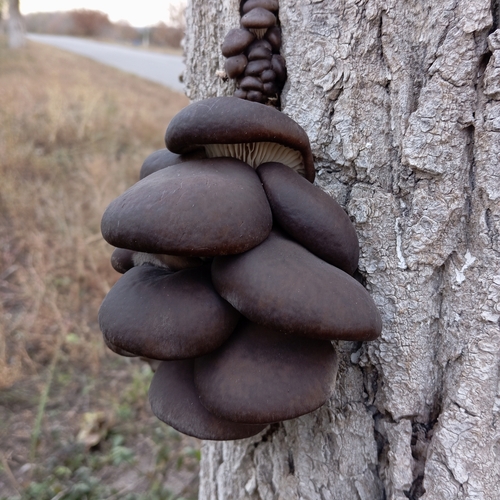Photo #13912984