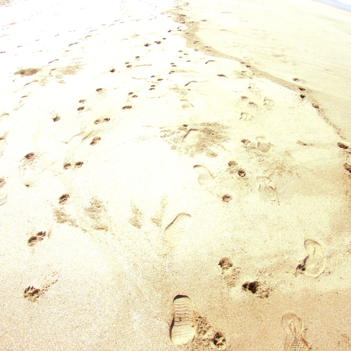 Photo #13913007