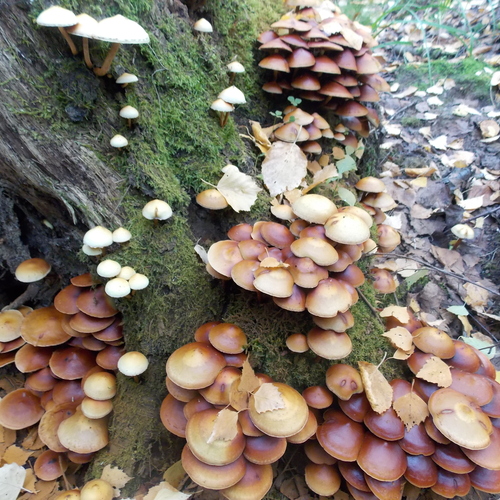 Photo #13913016