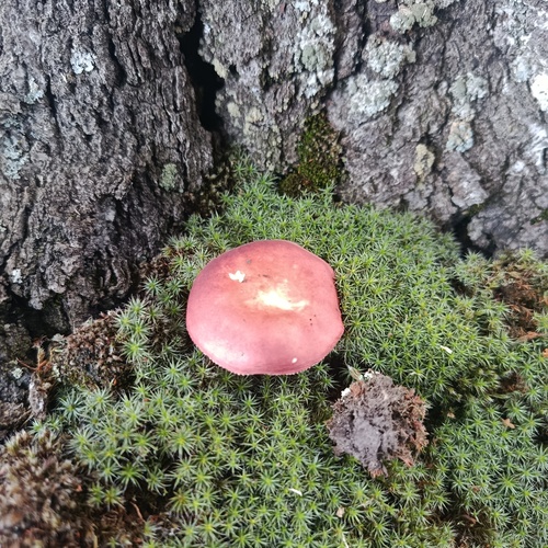 Photo #13913100