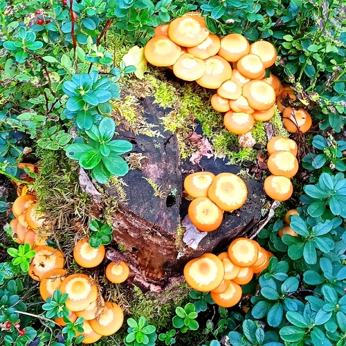 Photo #13913129
