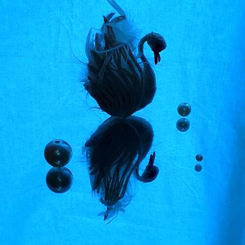 Photo #13913138