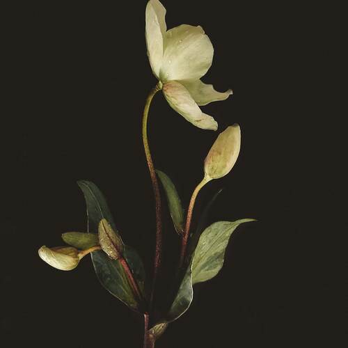 Photo #13913176