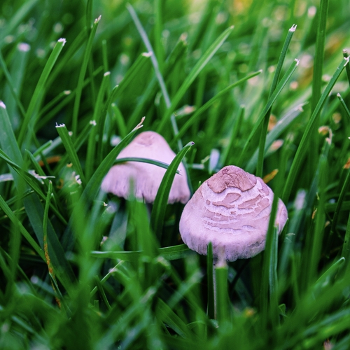 Photo #13913252